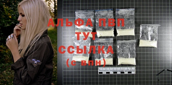 стаф Абинск