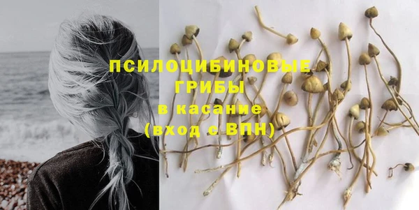 дурь Абдулино