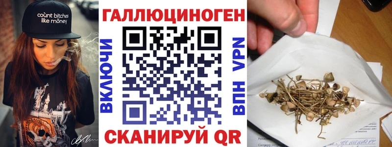 Псилоцибиновые грибы GOLDEN TEACHER  Копейск 